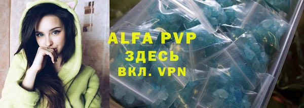 амф Новодвинск