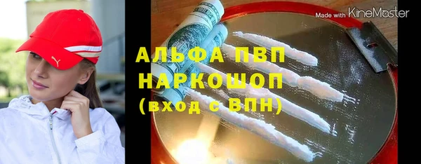 амф Новодвинск