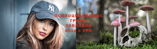 прущая мука Новозыбков