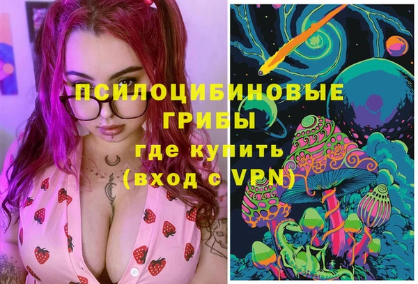 ГАЛЛЮЦИНОГЕННЫЕ ГРИБЫ Новокубанск