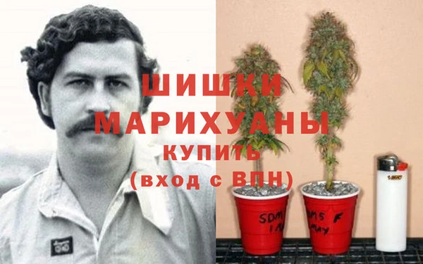 прущая мука Новозыбков