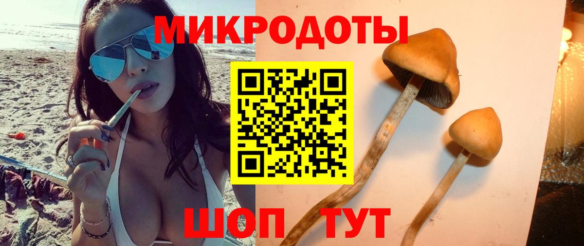 Галлюциногенные грибы ЛСД  Вход с VPN  цены наркотик  Красноярск 