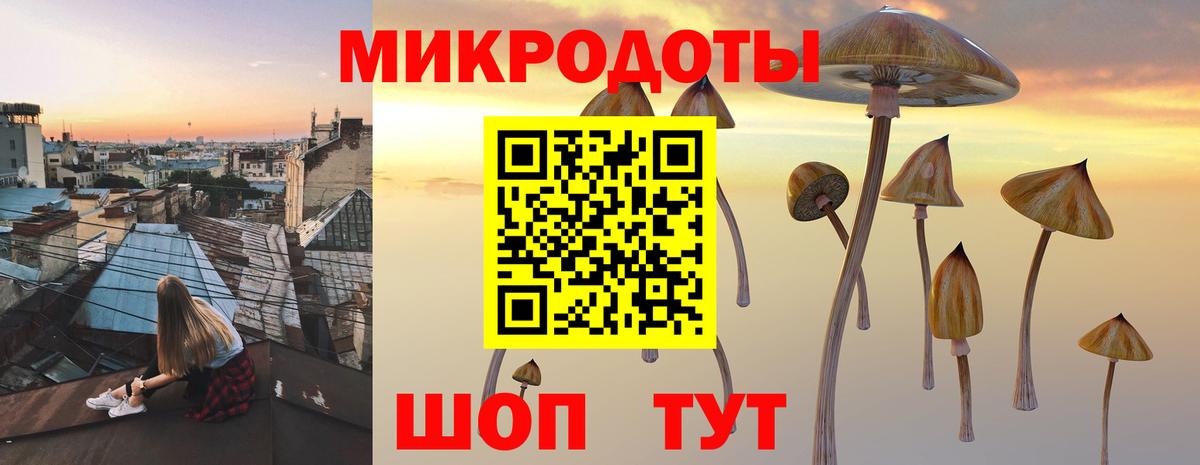 Псилоцибиновые грибы прущие грибы  Красноярск 